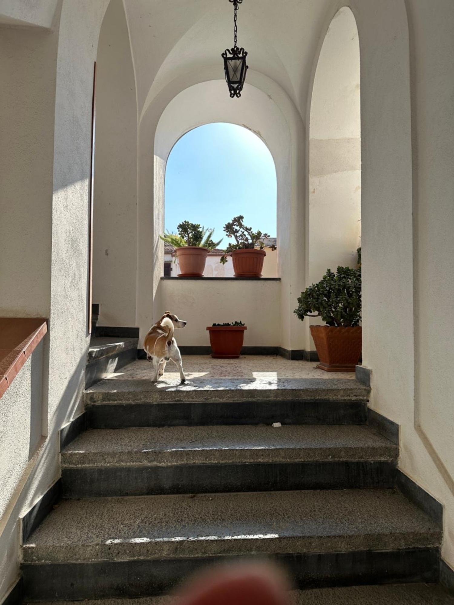 B&B Frai Sorrento Exterior foto